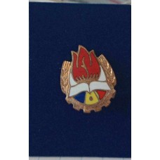 Insigna PIIONIER