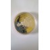 Moneda comemorativa Olanda 1977